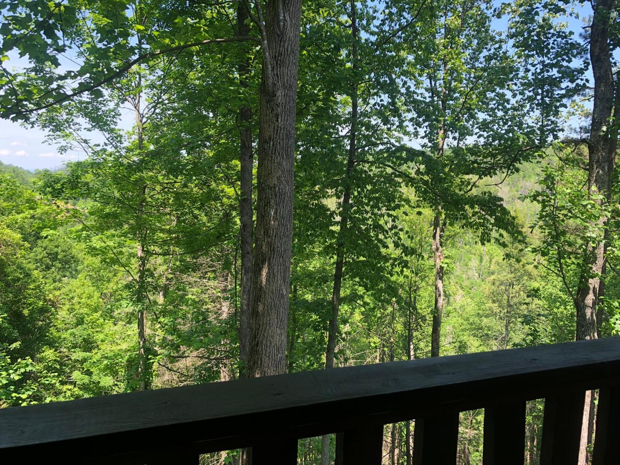 Black Bear Cove Gatlinburg Exterior foto